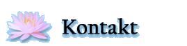 Kontakt